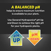 General Hydroponics pH Up Liquid Premium Buffering For Stability, 1 Quart