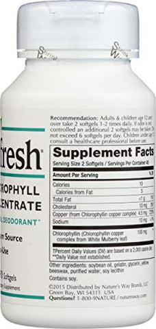 chlorophyll supplement supplement facts