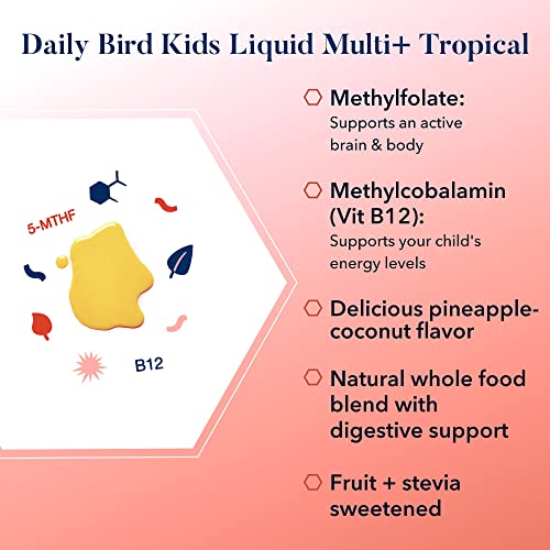multivitamins liquid | methyl folate | methyl cobalamin | brain-booster vitamins | vitamin 12 | best nest wellness