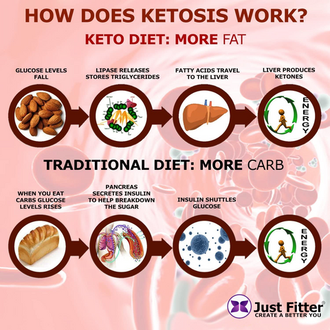 keto diet | how does ketosis work